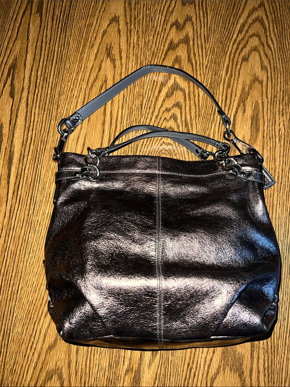 Coach Metallic Brooke Leather Pewter Hobo Bag